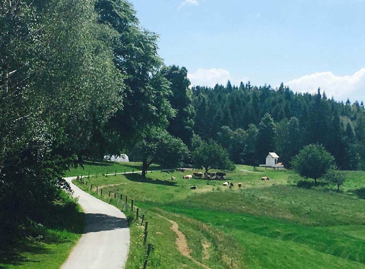 Apartments Planina Pod Sumikom Planina pod Sumnikom Eksteriør billede