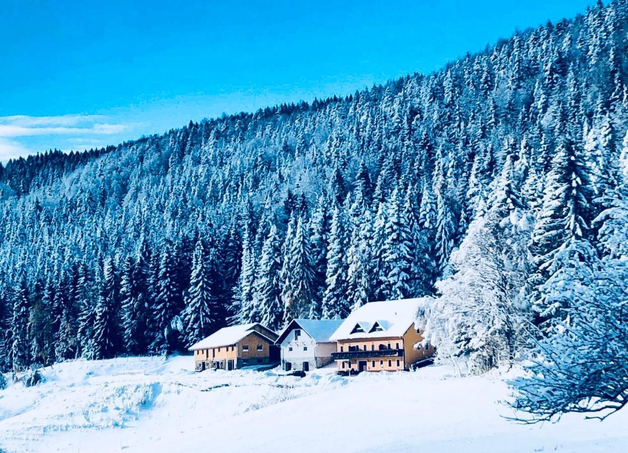 Apartments Planina Pod Sumikom Planina pod Sumnikom Eksteriør billede